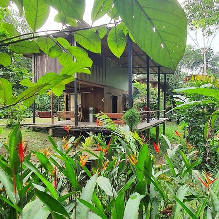 Amazona Lodge Leticia Exterior foto