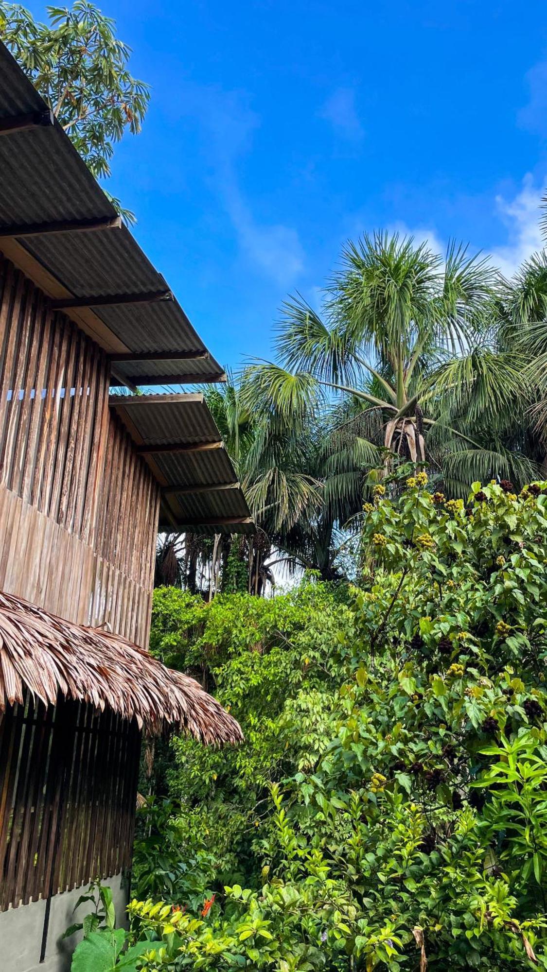 Amazona Lodge Leticia Exterior foto