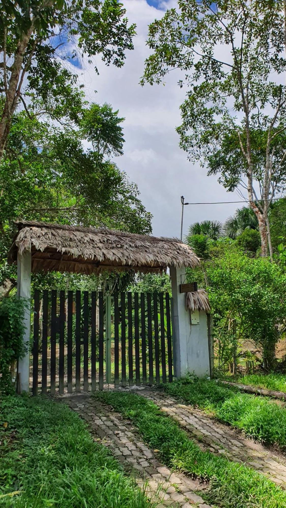 Amazona Lodge Leticia Exterior foto
